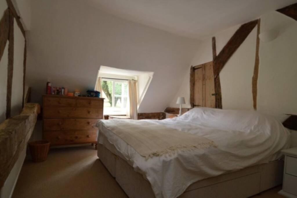 Acacia Cottage هالستيد المظهر الخارجي الصورة